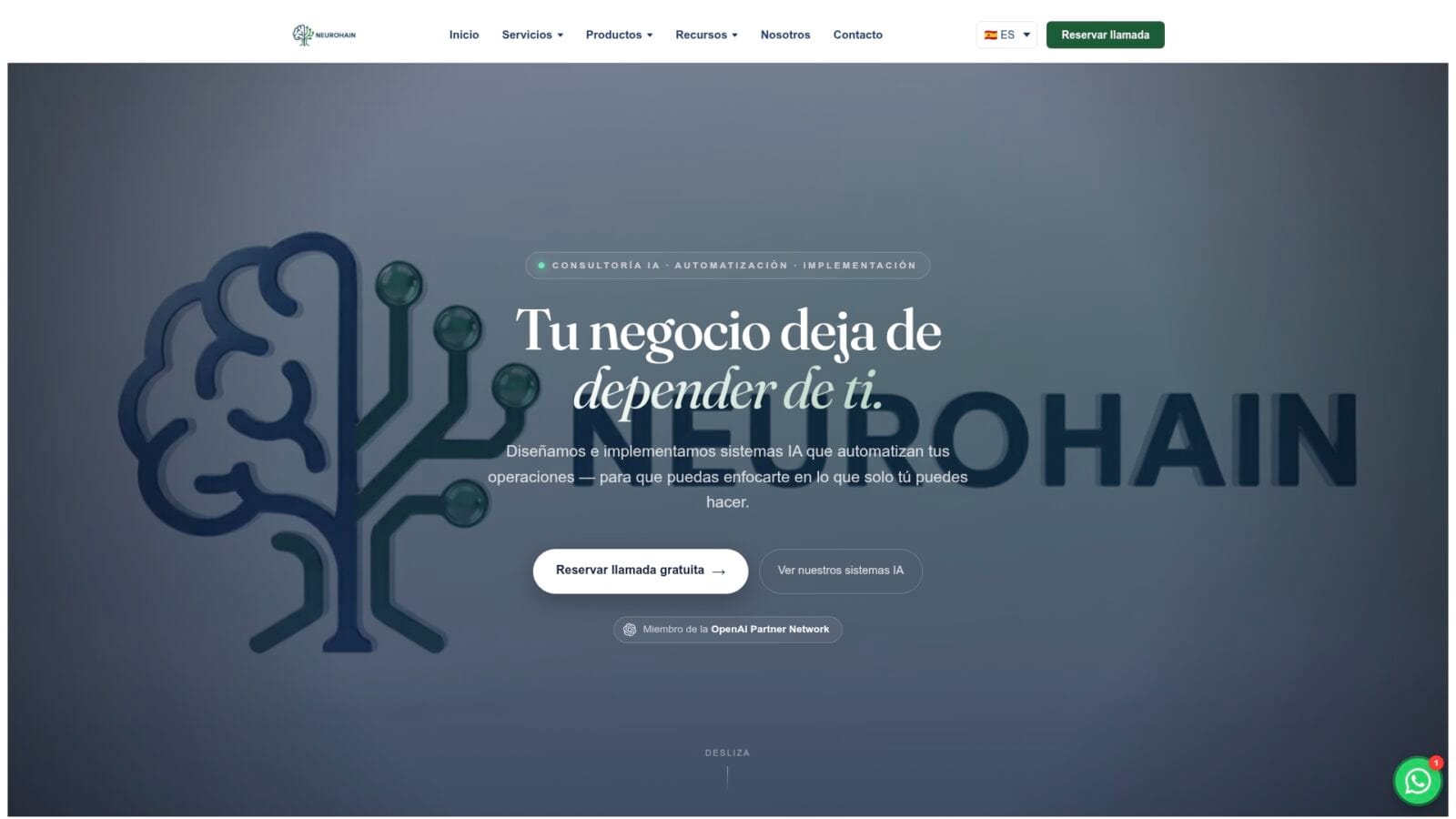Neurohain